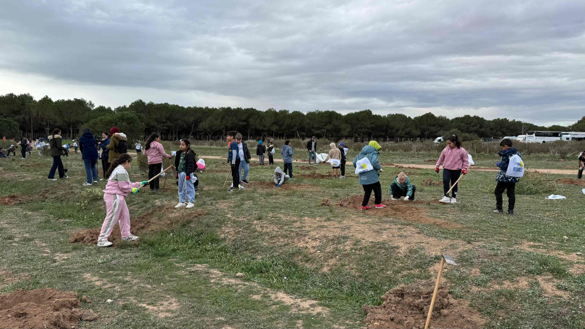 FINALIZA LA PLANTACIÓN DE ESPECIES AUTÓCTONAS EN EL PARQUE NATURAL CON MOTIVO DEL DÍA DEL ÁRBOL 2025 3