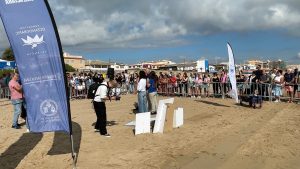 16 TORTUGAS MARINAS ENTRAN AL MAR EN TORREVIEJA UN AÑO DESPUÉS DE NACER EN LA PLAYA DE LA MATA 4