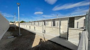EL NUEVO ALBERGUE MUNICIPAL DE ANIMALES ENTRARÁ EN FUNCIONAMIENTO EN EL PRIMER TRIMESTRE DE 2026 4
