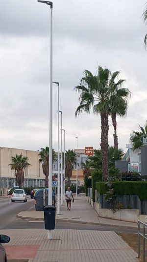 EL AYUNTAMIENTO DE TORREVIEJA REALIZA MEJORAS EN EL ALUMBRADO PÚBLICO POR VALOR DE 381.800 EUROS EN DISTINTAS ZONAS DE LA CIUDAD 4