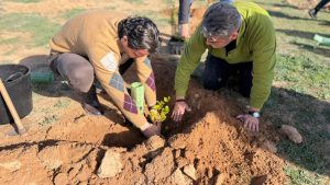 CONTINÚA LA PLANTACIÓN DE ESPECIES AUTÓCTONAS EN EL PARQUE NATURAL CON MOTIVO DEL DÍA DEL ÁRBOL 2026 5 CONTINÚA LA PLANTACIÓN DE ESPECIES AUTÓCTONAS EN EL PARQUE NATURAL CON MOTIVO DEL DÍA DEL ÁRBOL 2026 5