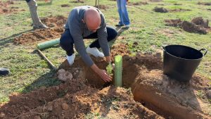 CONTINÚA LA PLANTACIÓN DE ESPECIES AUTÓCTONAS EN EL PARQUE NATURAL CON MOTIVO DEL DÍA DEL ÁRBOL 2026 6 CONTINÚA LA PLANTACIÓN DE ESPECIES AUTÓCTONAS EN EL PARQUE NATURAL CON MOTIVO DEL DÍA DEL ÁRBOL 2026 6