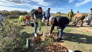 CONTINÚA LA PLANTACIÓN DE ESPECIES AUTÓCTONAS EN EL PARQUE NATURAL CON MOTIVO DEL DÍA DEL ÁRBOL 2026 7 CONTINÚA LA PLANTACIÓN DE ESPECIES AUTÓCTONAS EN EL PARQUE NATURAL CON MOTIVO DEL DÍA DEL ÁRBOL 2026 7
