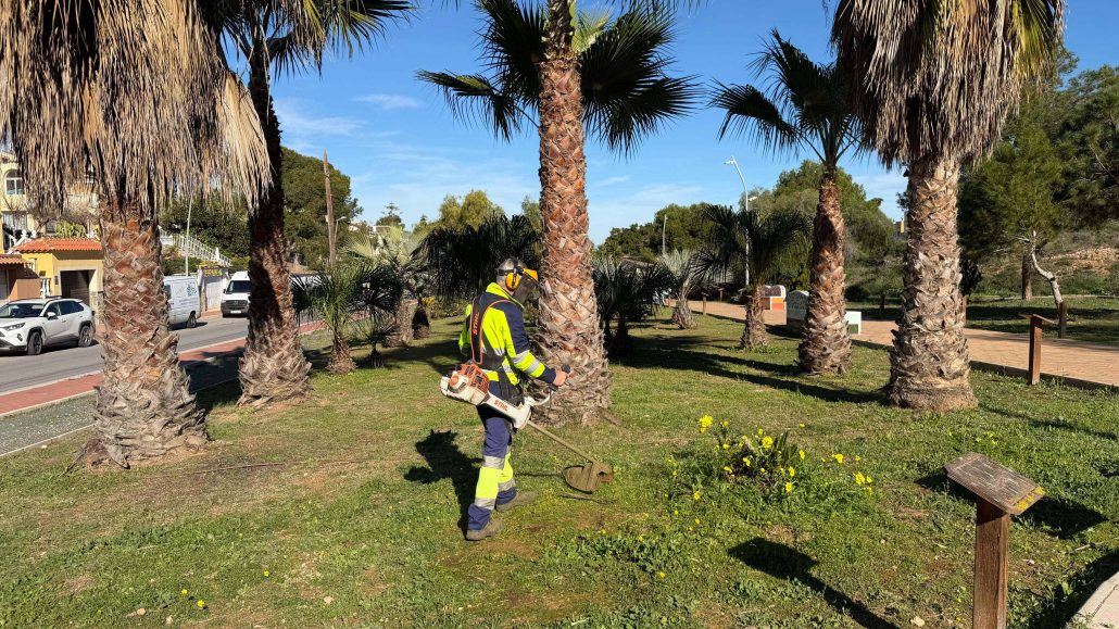 PARQUES Y JARDINES ACOMETE UNA ACTUACIÓN INTEGRAL DE MEJORA EN EL PARQUE REINA DE LA SAL DE LOS BALCONES 5