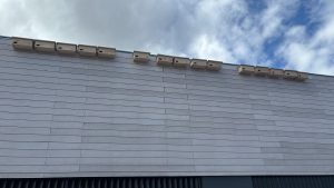 EL AYUNTAMIENTO IMPULSA LA BIODIVERSIDAD URBANA CON LA INSTALACIÓN DE NUEVOS NIDALES PARA VENCEJOS Y AVIÓN COMÚN 5 EL AYUNTAMIENTO IMPULSA LA BIODIVERSIDAD URBANA CON LA INSTALACIÓN DE NUEVOS NIDALES PARA VENCEJOS Y AVIÓN COMÚN 5