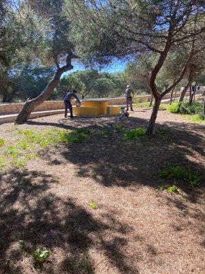 PARQUES Y JARDINES DESARROLLA UNA ACTUACIÓN INTEGRAL EN EL PARQUE MOLINO DEL AGUA 12 PARQUES Y JARDINES DESARROLLA UNA ACTUACIÓN INTEGRAL EN EL PARQUE MOLINO DEL AGUA 12