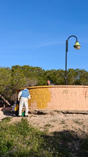 PARQUES Y JARDINES DESARROLLA UNA ACTUACIÓN INTEGRAL EN EL PARQUE MOLINO DEL AGUA 8 PARQUES Y JARDINES DESARROLLA UNA ACTUACIÓN INTEGRAL EN EL PARQUE MOLINO DEL AGUA 8