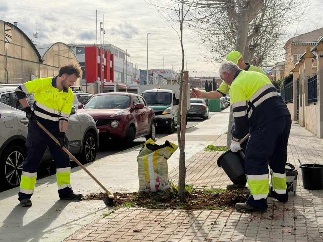 PARQUES Y JARDINES REALIZA LA PLANTACIÓN DE CERCA DE MEDIO CENTENAR DE ÁRBOLES EN LAS AVENIDAS DELFINA VIUDES Y DIEGO RAMÍREZ 2