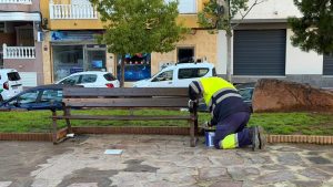 EL AYUNTAMIENTO MEJORA LA PLAZA MARÍA ASUNCIÓN CON NUEVO ARBOLADO Y MOBILIARIO URBANO 4 EL AYUNTAMIENTO MEJORA LA PLAZA MARÍA ASUNCIÓN CON NUEVO ARBOLADO Y MOBILIARIO URBANO 4