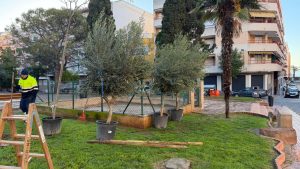 EL AYUNTAMIENTO MEJORA LA PLAZA MARÍA ASUNCIÓN CON NUEVO ARBOLADO Y MOBILIARIO URBANO 7 EL AYUNTAMIENTO MEJORA LA PLAZA MARÍA ASUNCIÓN CON NUEVO ARBOLADO Y MOBILIARIO URBANO 7