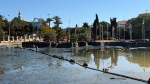 LA CONCEJALÍA DE PARQUES Y JARDINES LLEVA A CABO UNA ACTUACIÓN DE LIMPIEZA Y MANTENIMIENTO DE LAS FUENTES ORNAMENTALES DE TORREVIEJA 6 LA CONCEJALÍA DE PARQUES Y JARDINES LLEVA A CABO UNA ACTUACIÓN DE LIMPIEZA Y MANTENIMIENTO DE LAS FUENTES ORNAMENTALES DE TORREVIEJA 6