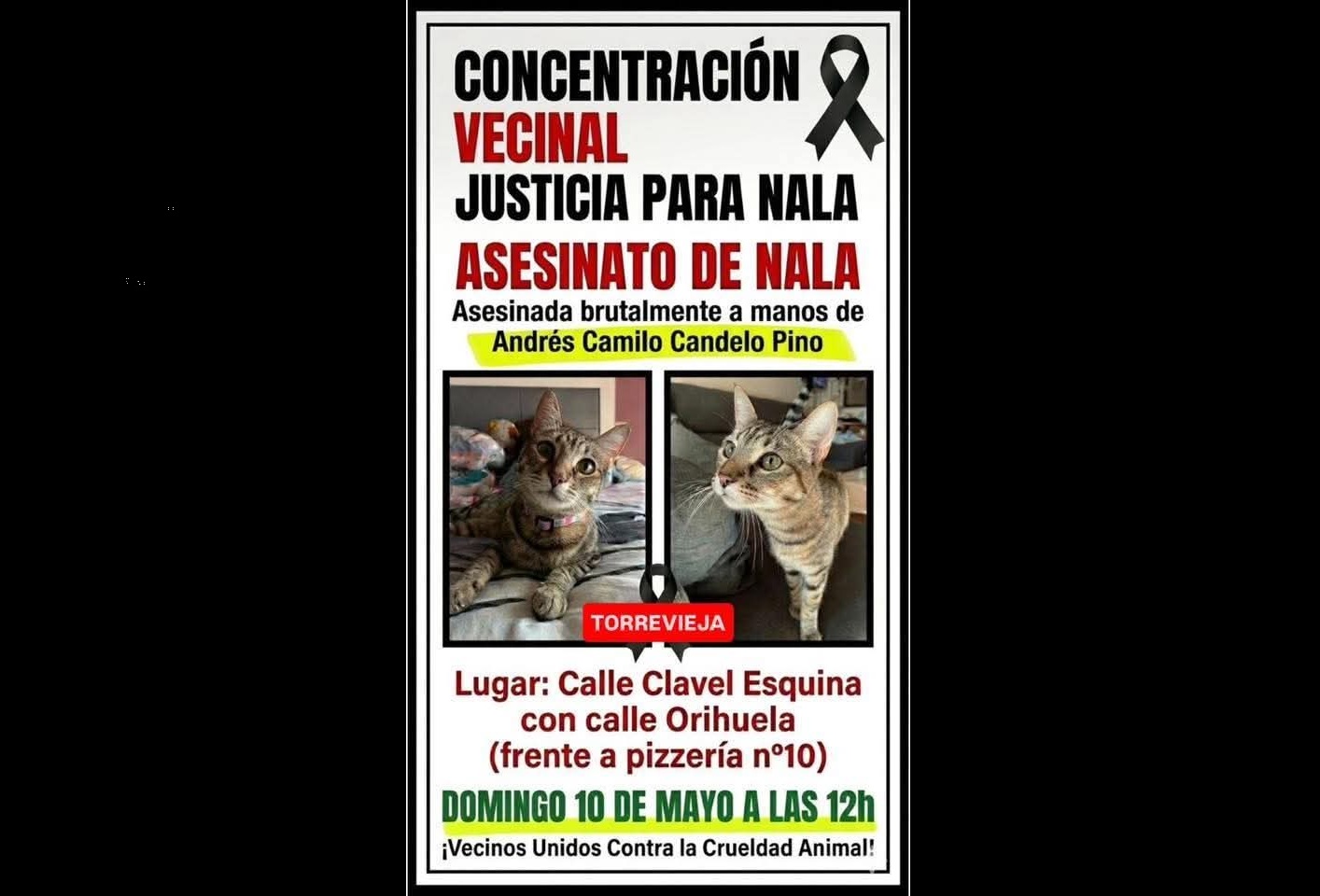 WhatsApp Image 2026 05 05 at 13.41.24