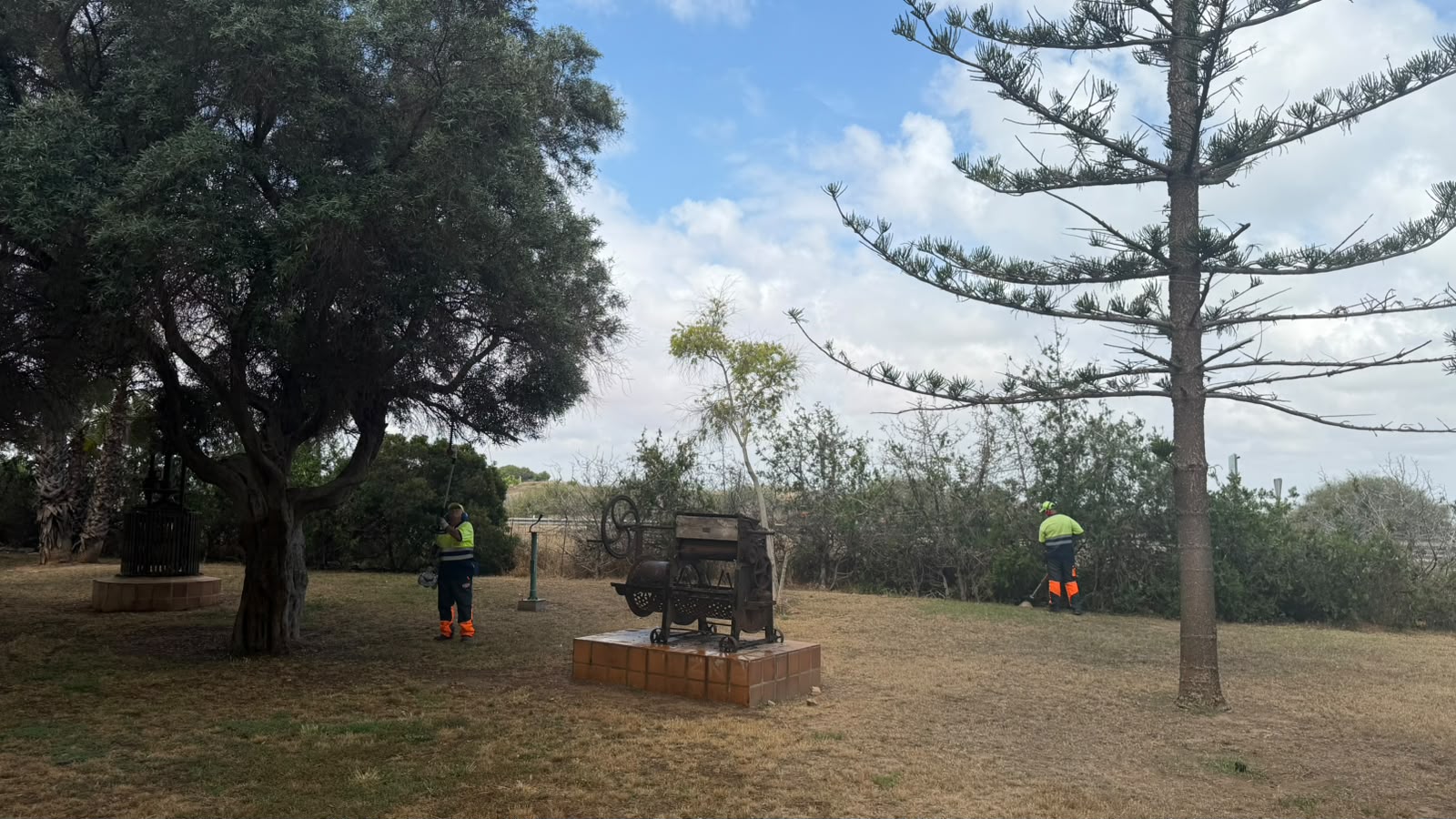 TORREVIEJA CONTINÚA MEJORANDO SUS ZONAS VERDES CON LA PUESTA A PUNTO DE LA PLAZA DE LA AGRICULTURA DE LA MATA 3