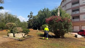TORREVIEJA CONTINÚA MEJORANDO SUS ZONAS VERDES CON LA PUESTA A PUNTO DE LA PLAZA DE LA AGRICULTURA DE LA MATA 5